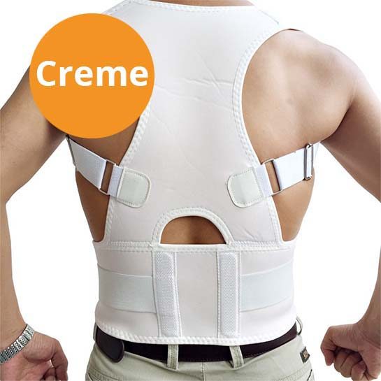 Therapeutic Back Belt