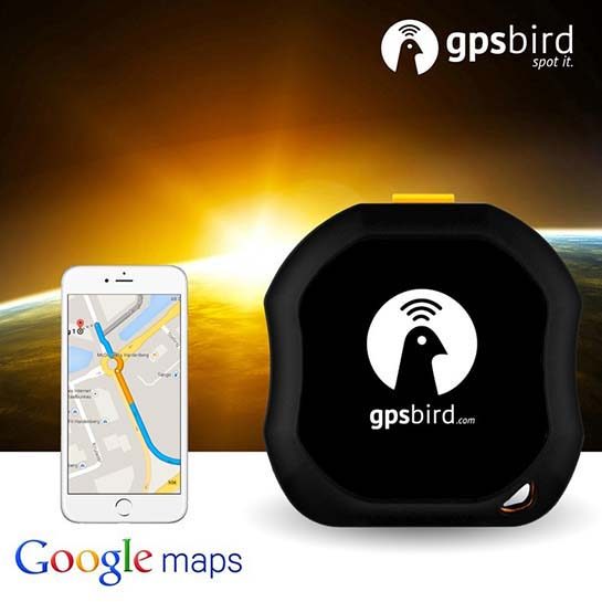 Gpsbird Tracking Device