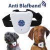anti-blafband-voor-honden