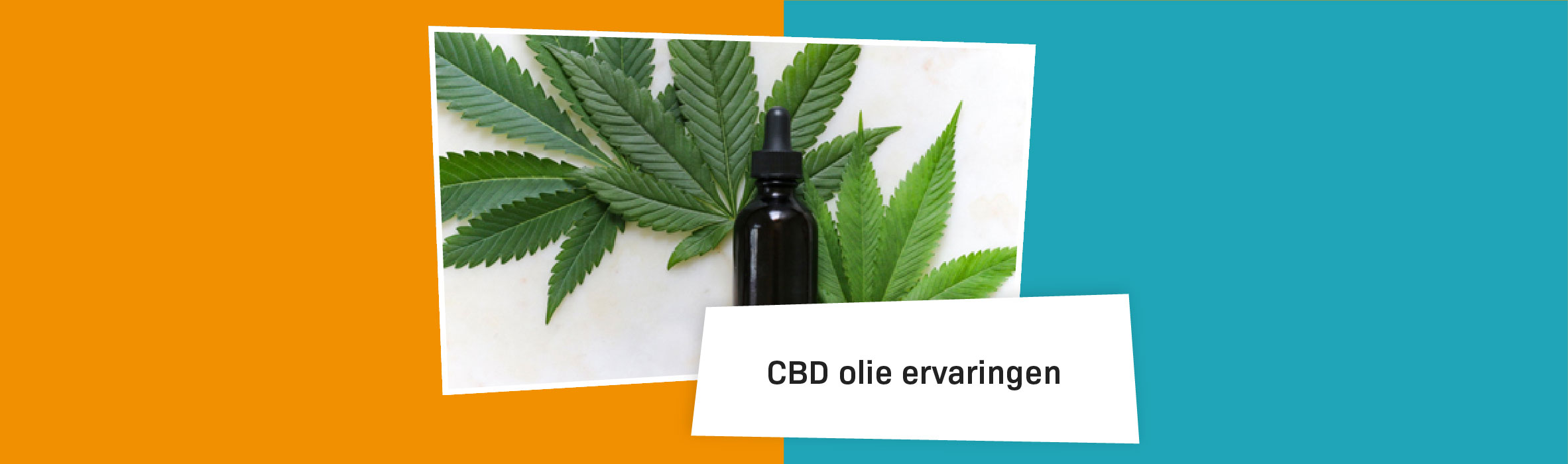 Wed Blog Banners Cbd Oil Experiences 07
