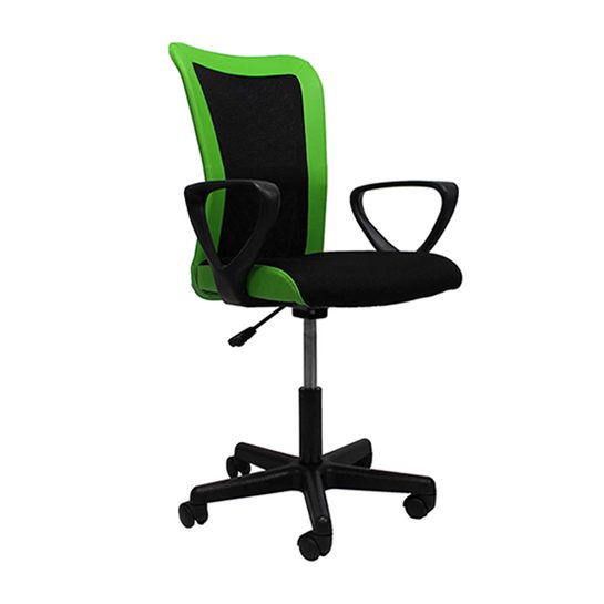 Frog office chair-with-armrest
