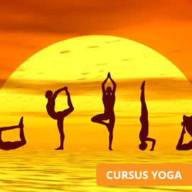 yoga cursus