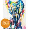 Elefante colorato