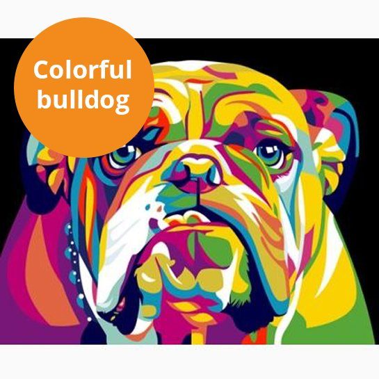 Colorful Bulldog