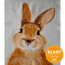 Klanten Resultaat Konijn