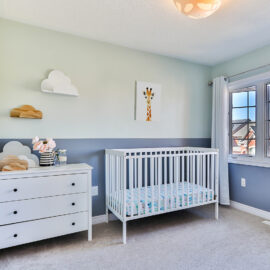 Son Babyzoet Sfeerbeeld Giraf