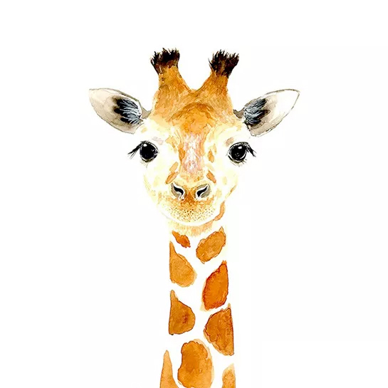 Serie Babyzoet Giraf Schilderen Op Nummers
