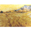 Van Gogh - Campo di grano con un mietitore - Dipingere con i numeri