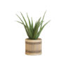 Kunstpflanze Aloe Vera 2