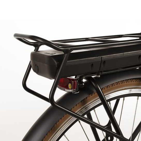E Bike Transporter Cargo Met Shimano Nexus2