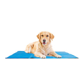 Tapis de refroidissement pour animaux de compagnie7