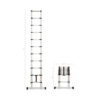 Telescopische Ladder3