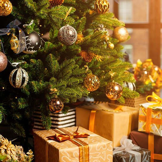 Floraya – Real Nordmann Christmas Tree – 2