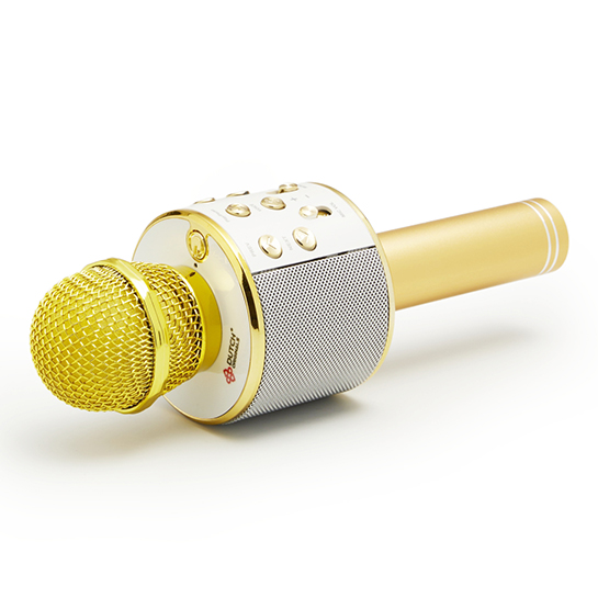 Karaoke Microfoon 2
