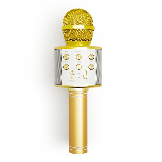 Karaoke Microfoon 5