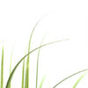 Gras Kunst Grasplant 133 Cm 4