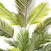 Palm Art Palmier Areca 210 cm 2