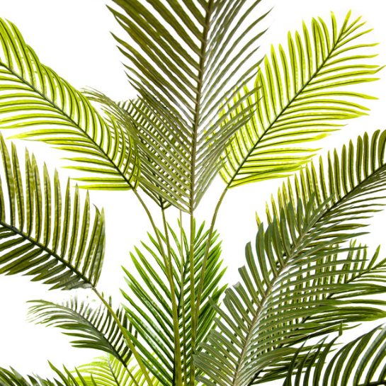 Palm Kunst Palm Areca 210 Cm 2