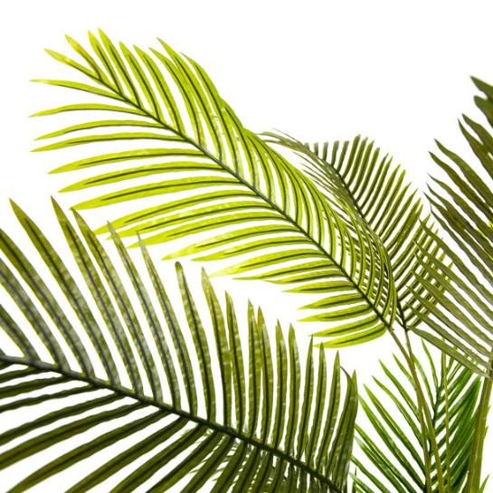 Palm Art Palmier Areca 210 cm 4
