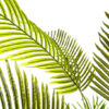 Palm Kunst Palm Areca 210 Cm 6
