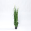Herbe Plume Herbe Plume Artificielle Plumes Blanches 180 Cm