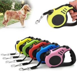 dog leash