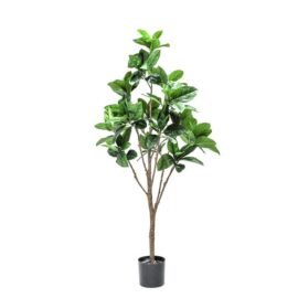 Rubber Art Rubber Tree 150 Cm