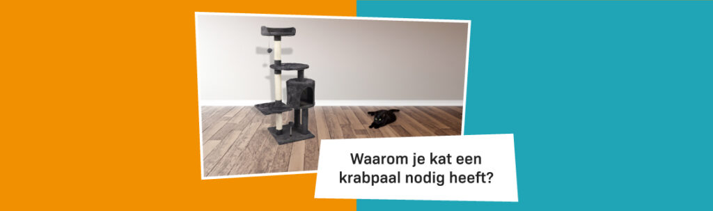 Blog Banners Waarom Je Kat Een Krabpaal Nodig Heeft (1)
