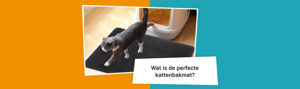 Blog Banners Wat Is De Perfecte Kattenbakmat