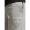 Joggers Superdry Gris1
