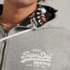 Sweatshirt com capuz Superdry Zip Up cinzento2