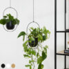 Lifa Living Plant Hanger Liv